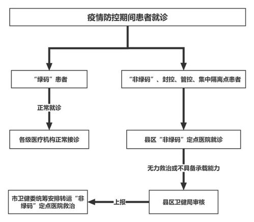 蘭州市疫情防控期間 非綠碼 患者就診流程圖定點(diǎn)醫(yī)院及24小時(shí)咨詢服務(wù)熱線 數(shù)據(jù)庫(kù)及計(jì)算機(jī)網(wǎng)絡(luò)服務(wù)